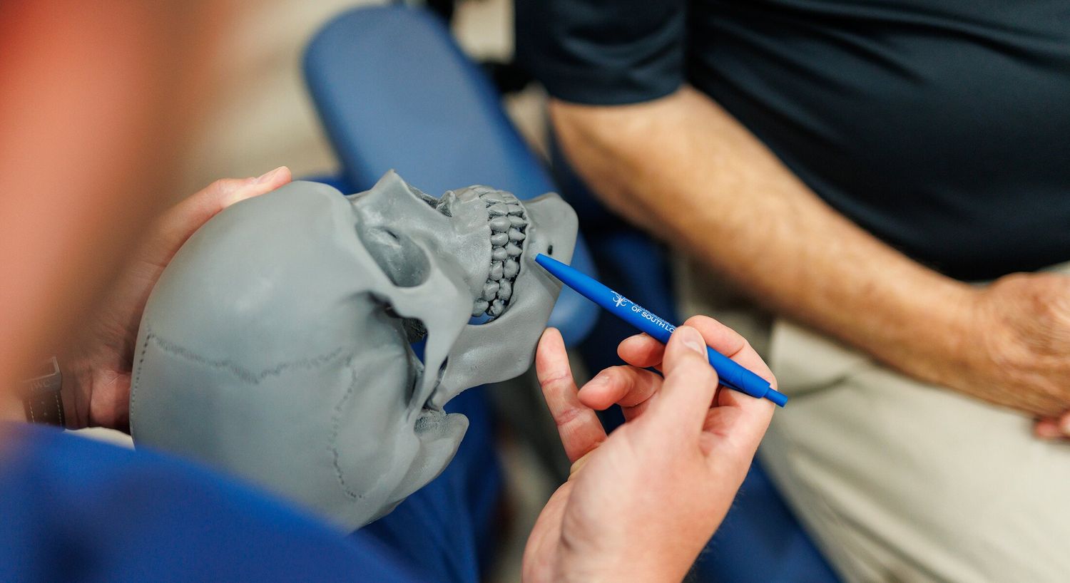 Examining a 3D printed human skull model.